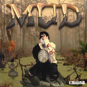 搞基高清无码视频
