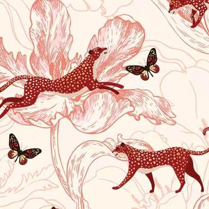 搞基高清无码视频
