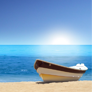 搞基高清无码视频
