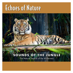 搞基高清无码视频
